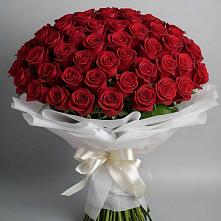 Букет 101 Красная роза Блэк Мэджик в Черницыне