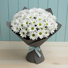Букет цветов из:  Хризантемы #REPLACE_PRED# Черницыне