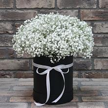 Цветочная композиция из Гипсофила в шляпной коробке #REPLACE_PRED# Черницыне
