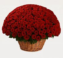 Премиум букет из: Розы в Черницыне